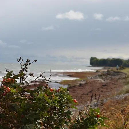 Krischan - Ruhige Mit Garten, Nur 5 Km Zum Casa de Férias Grundhof